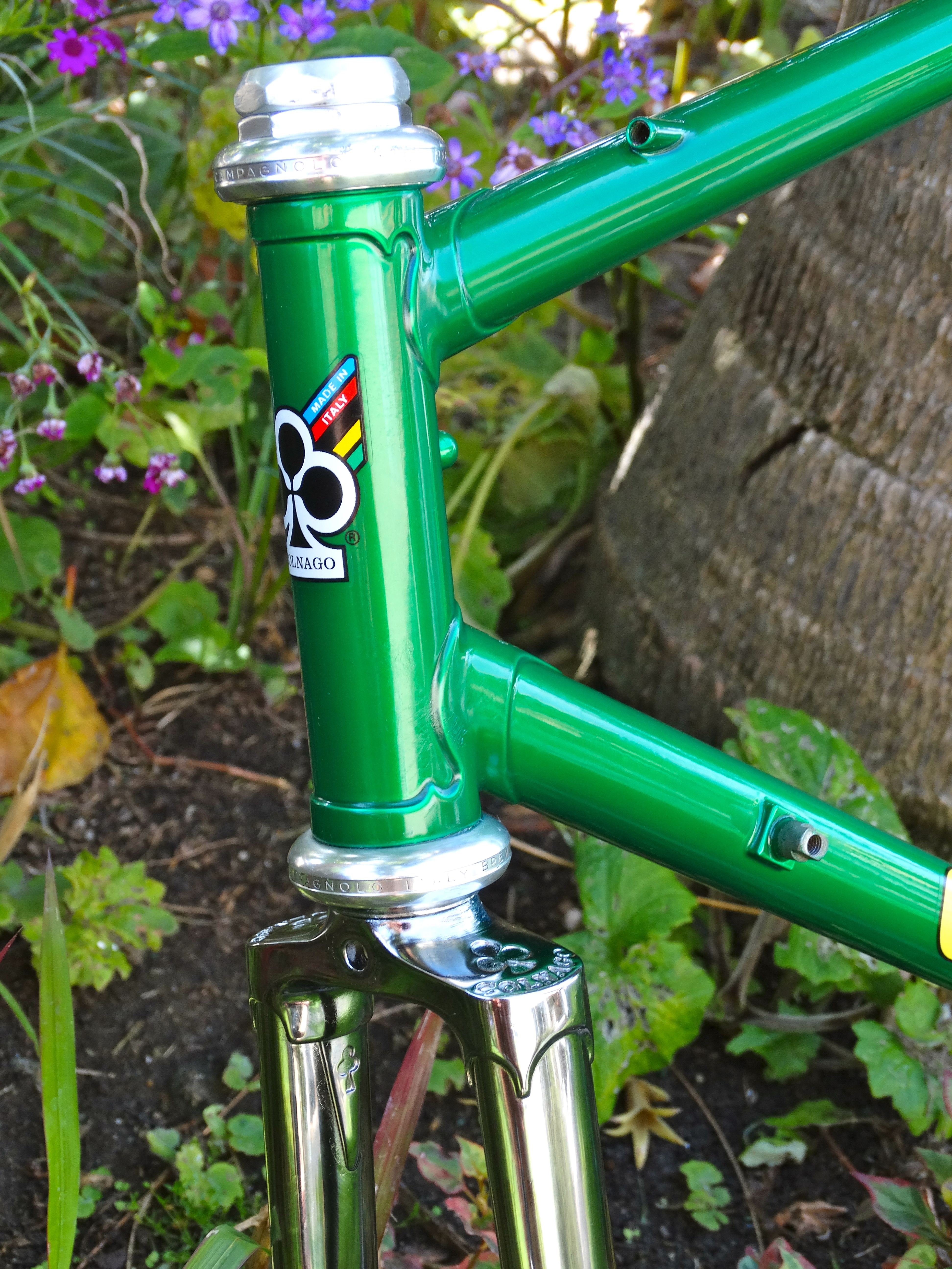 Green Frame Green Frame