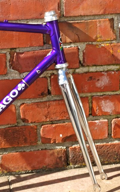 Purple Frame Purple Frame